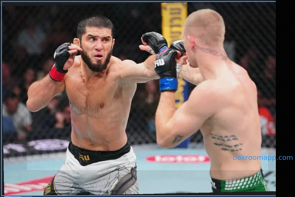 What's Next for the Stars of UFC 330?