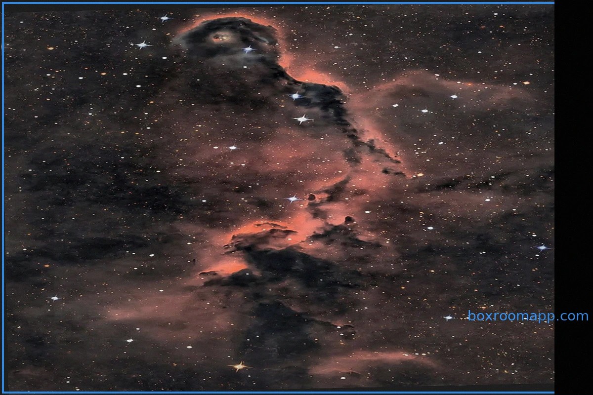 The Elephant’s Trunk in Cepheus